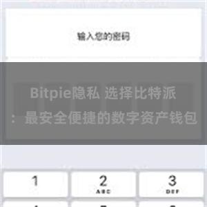 Bitpie隐私 选择比特派：最安全便捷的数字资产钱包