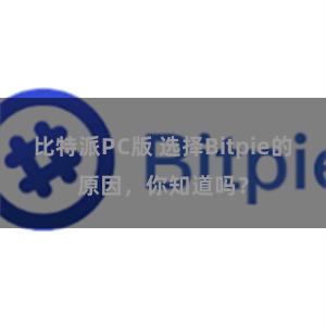 比特派PC版 选择Bitpie的原因，你知道吗？