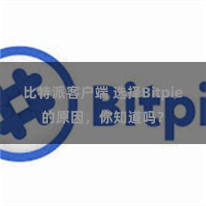 比特派客户端 选择Bitpie的原因，你知道吗？