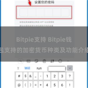 Bitpie支持 Bitpie钱包支持的加密货币种类及功能介绍