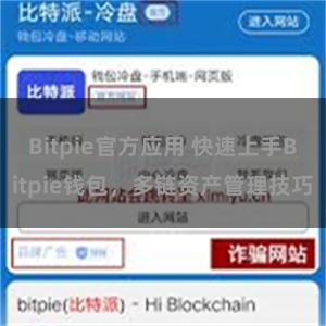 Bitpie官方应用 快速上手Bitpie钱包，多链资产管理技巧