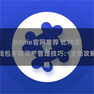 Bitpie官网推荐 比特派钱包多链资产管理技巧：全面攻略