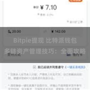 Bitpie提现 比特派钱包多链资产管理技巧：全面攻略