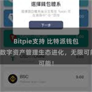 Bitpie支持 比特派钱包：数字资产管理生态进化，无限可能！