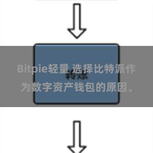 Bitpie轻量 选择比特派作为数字资产钱包的原因。