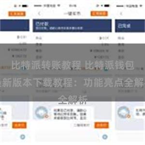 比特派转账教程 比特派钱包最新版本下载教程：功能亮点全解析