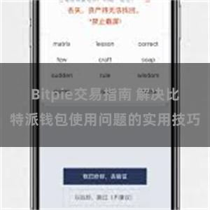 Bitpie交易指南 解决比特派钱包使用问题的实用技巧