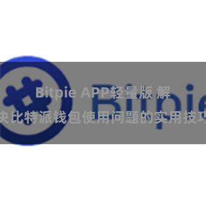 Bitpie APP轻量版 解决比特派钱包使用问题的实用技巧