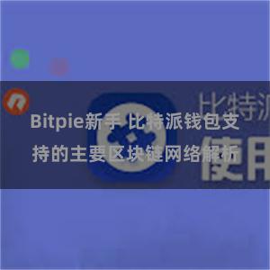 Bitpie新手 比特派钱包支持的主要区块链网络解析