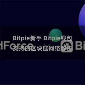 Bitpie新手 Bitpie钱包支持的区块链网络解析