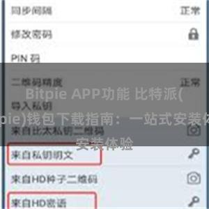 Bitpie APP功能 比特派(Bitpie)钱包下载指南：一站式安装体验