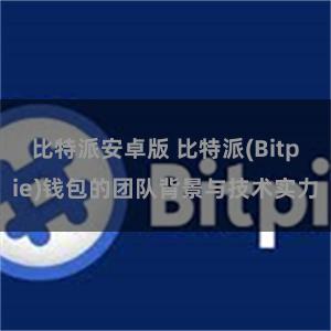 比特派安卓版 比特派(Bitpie)钱包的团队背景与技术实力