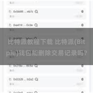 比特派教程下载 比特派(Bitpie)钱包能删除交易记录吗？