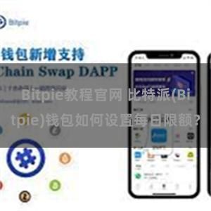 Bitpie教程官网 比特派(Bitpie)钱包如何设置每日限额？