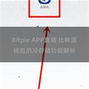 Bitpie APP直链 比特派钱包的冷存储功能解析