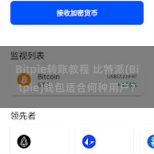 Bitpie转账教程 比特派(Bitpie)钱包适合何种用户？