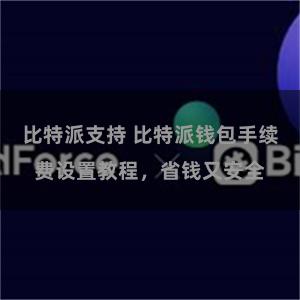 比特派支持 比特派钱包手续费设置教程，省钱又安全