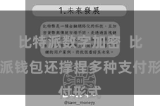 比特派数字加密  比特派钱包还撑捏多种支付形式