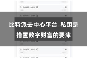 比特派去中心平台  私钥是措置数字财富的要津