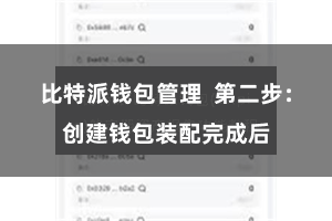 比特派钱包管理  第二步：创建钱包装配完成后