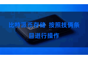 比特派币存储 按照技俩条目进行操作
