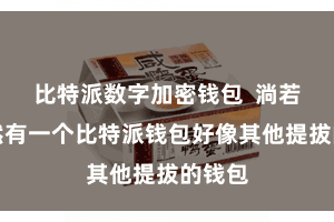 比特派数字加密钱包  淌若你依然有一个比特派钱包好像其他提拔的钱包