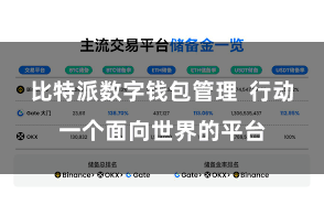 比特派数字钱包管理  行动一个面向世界的平台