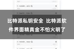 比特派私钥安全  比特派软件界面精真金不怕火明了