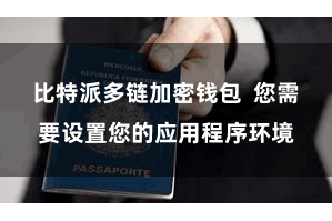 比特派多链加密钱包  您需要设置您的应用程序环境