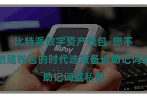 比特派数字资产钱包  您不错在创建钱包的时代选拔备份助记词或私钥