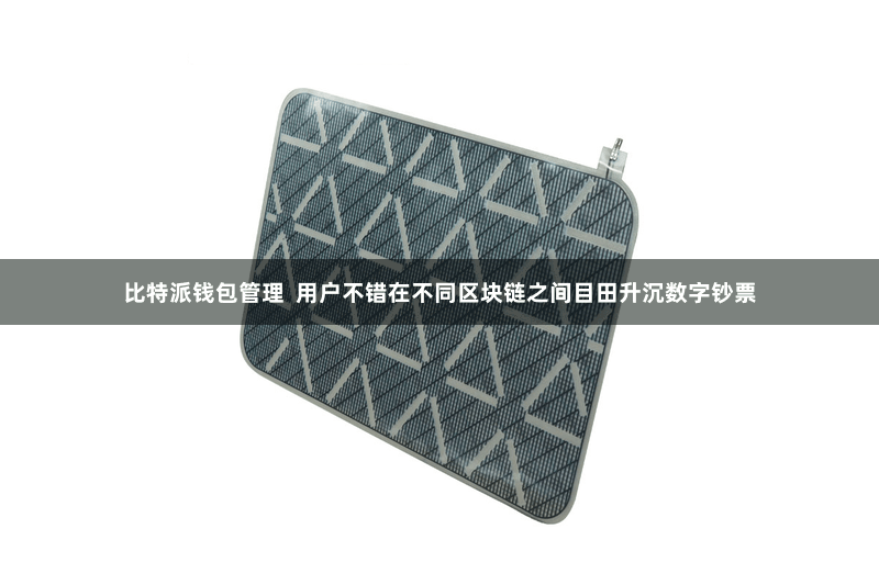比特派钱包管理  用户不错在不同区块链之间目田升沉数字钞票