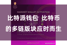 比特派钱包  比特币的多链版块应时而生